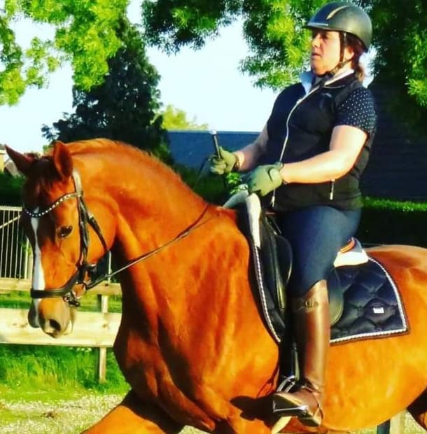 Afbeelding van aangepaste teugel