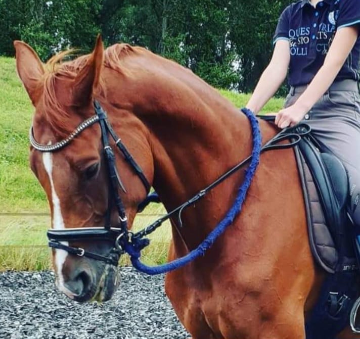 Afbeelding van aangepaste teugel