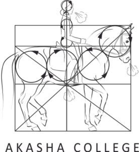 akasha-college-logo-276x300